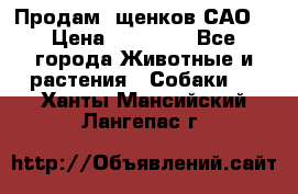 Продам ,щенков САО. › Цена ­ 30 000 - Все города Животные и растения » Собаки   . Ханты-Мансийский,Лангепас г.